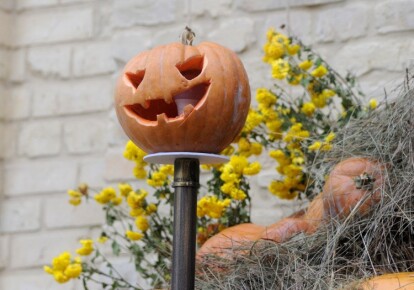 Декоративная тыква по случаю празднования Хэллоуина в Киеве