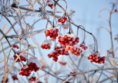 Средняя месячная температура в декабре в Украине должна быть близка к норме