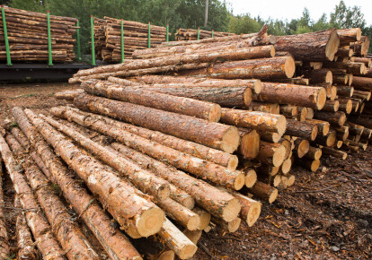Украина должна будет отменить принятый в 2015 г. запрет на экспорт необработанной древесины
