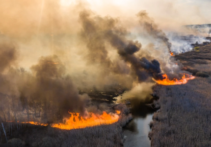 В Украине — чрезвычайный уровень пожарной опасности
