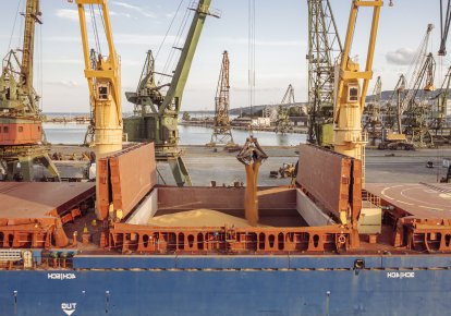 За майже рік роботи "зернового коридору" через українські порти відправлено на експорт понад 49 млн т агропродукції