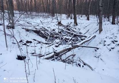 В Черкасской области нашли схрон украинских повстанцев