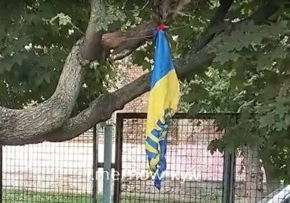 Спалений прапор України в Києві/скріншот з відео