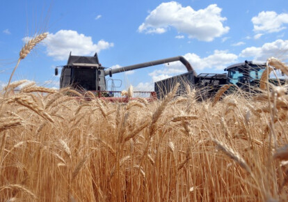 Аграрии Украины ожидают падения производства сельхозпродукции на треть. Фото: УНИАН
