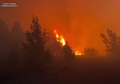 В Киевской области — лесной пожар
