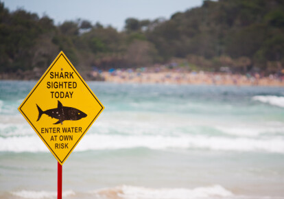 Предупреждающий знак "Акулы на пляже"