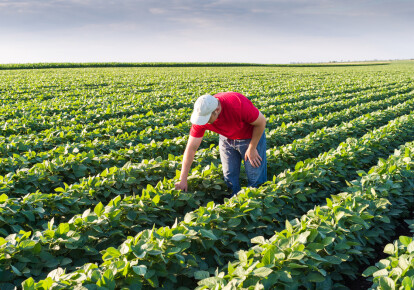 Кабмин одобрил проект постановления, который совершенствует механизм предоставления финансовой поддержки развития фермерских хозяйств. Фото: Shutterstock