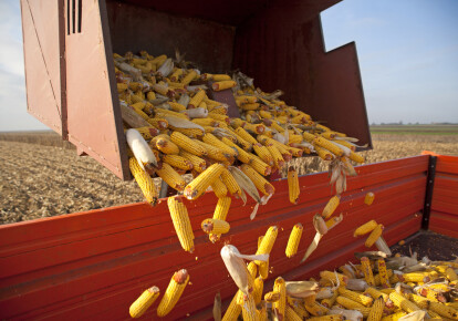 За допомогою простого перезавантаження базової низки культур РФ може істотно наростити кукурудзяний експорт