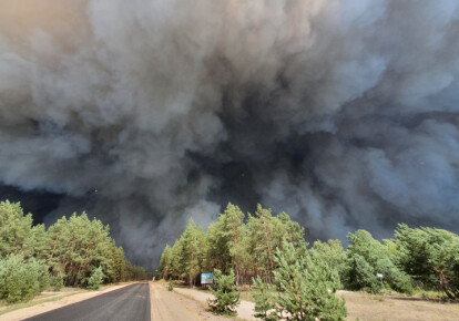 Пожежа в Луганській області. Фото: УНІАН