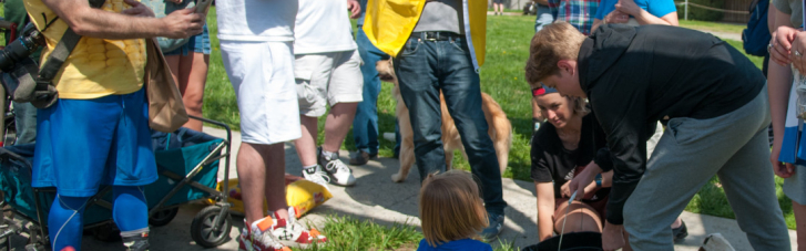Біля посольства РФ у Вашингтоні висадили соняшники на підтримку України (ВІДЕО)