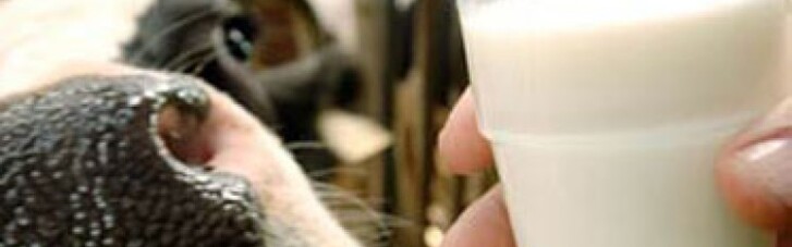 Россия запретила ввоз молочных продуктов ведущего украинского производителя