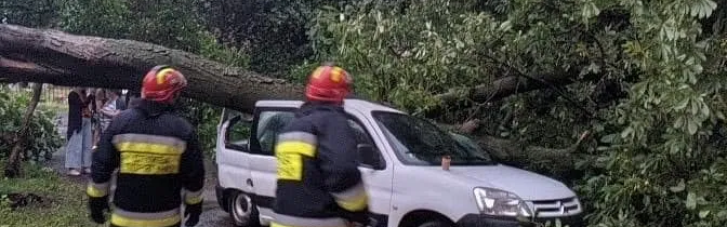 Пожары и вырванные с корнем деревья: непогода добралась до Ровенской области (ФОТО, ВИДЕО)
