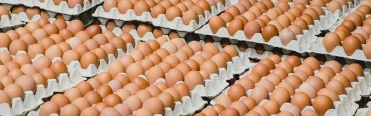 Користь, але не на кожен день: скільки яєць можна з'їдати на тиждень