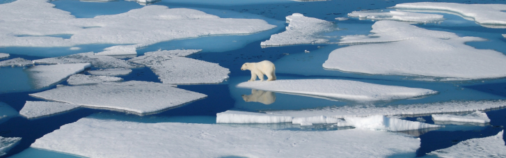 Новий температурний рекорд Арктики - 38⁰C, — метеорологи