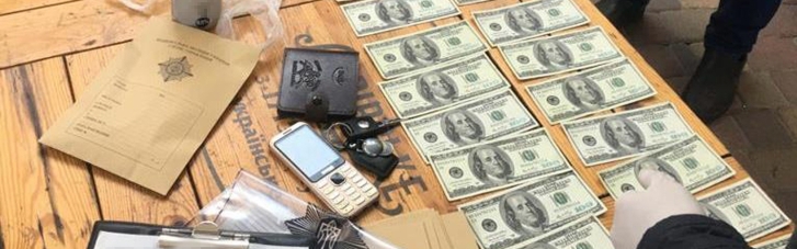 У Києві затримали групу фальшивомонетників, котрі продавали підроблені гроші преміум-якості