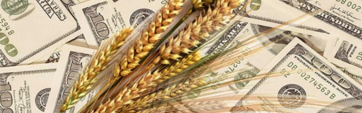 Когда исчезнет украинский хлеб: Аграрии больше не смогут кормить валютой всю страну