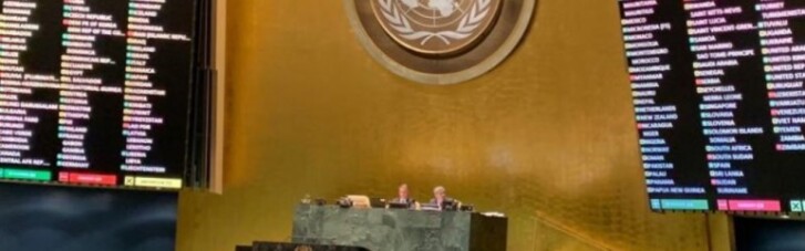 Крымская резолюция в ООН: кто присоединился к агрессору (ФОТО)