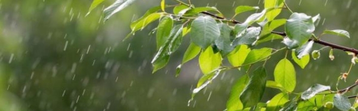 Погода в Украине на 6 июня: В некоторых областях пройдут дожди