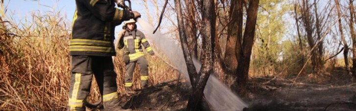 Пожар на свалке в Киеве: площадь возгорания значительно увеличилась (ФОТО)