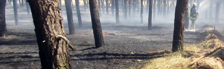 На юге и востоке Украины объявлена чрезвычайная пожарная опасность: что запрещается