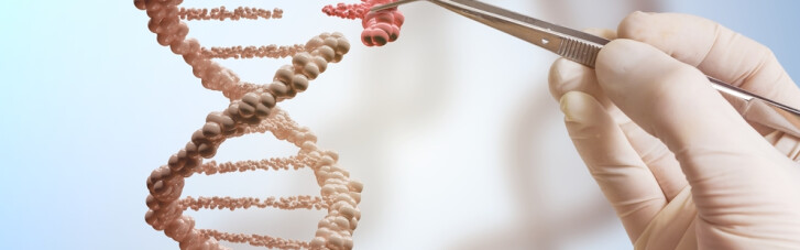 Базы ДНК: подарок человечеству или опасная игрушка