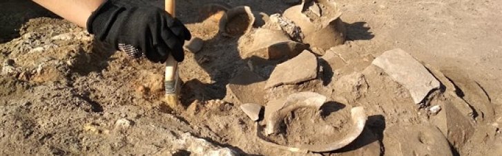 Эстония вернет Украине 274 археологических артефакта, которые пытались незаконно вывезти