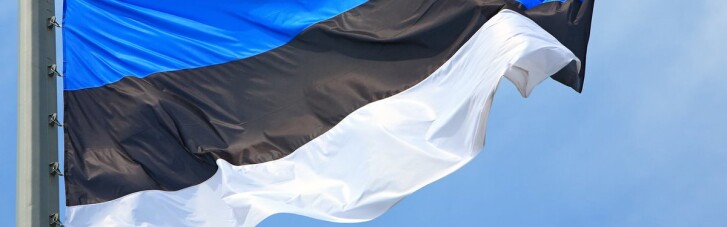 У Кулеби привітали Естонію з днем незалежності