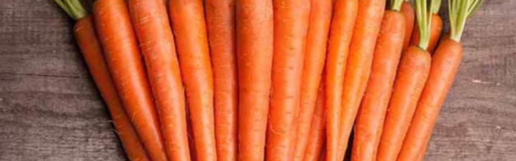 Корисні властивості моркви, про які мало хто знає: чому варто їсти помаранчевий овоч щодня