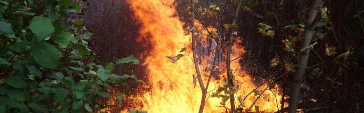 Укргідрометцентр попередив про надзвичайну пожежну небезпеку в кількох регіонах (КАРТА)