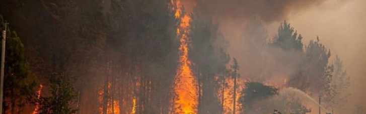 Францию и Испанию охватили масштабные лесные пожары: тысячи эвакуированных (ФОТО)