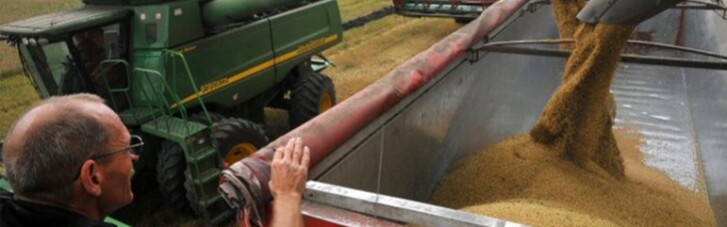 Засуха в помощь. Сколько украинские аграрии заработают на урожае-2018 (ИНФОГРАФИКА)