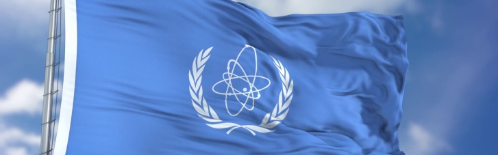 Треть стран-членов МАГАТЭ призвала наказать Россию за ядерный шантаж