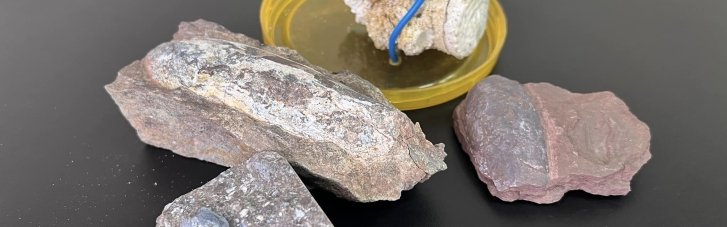 У посилці до Тайваню виявили скам'янілості істот віком 400 млн років, - митниця