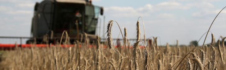 В Украине собрали рекордный урожай
