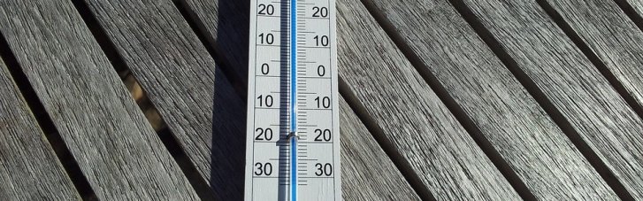 "Квітнева погода": у Києві в січні зафіксували вже декілька температурних рекордів