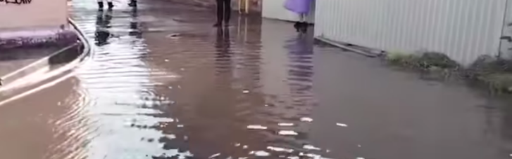 На Запоріжжі потоп: За кілька годин випала двомісячна норма дощу (ВІДЕО)