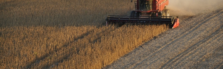 В Україні цьогоріч посіють на 30-60% менше озимих зернових: прогноз міністра агрополітики