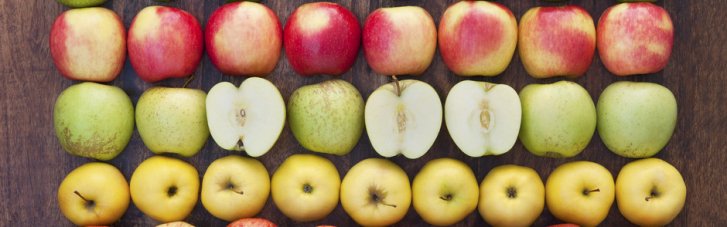 Поживні, корисні і сприяють схудненню: чому варто їсти яблука кожен день