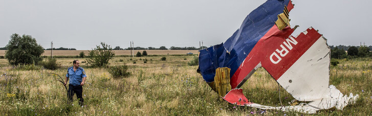 Трагедія MH17: слухання у справі припинені до 6 вересня