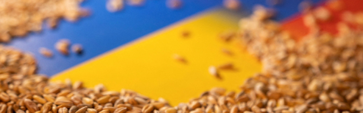Словакия вслед за Польшей и Венгрией временно прекратит импорт зерна из Украины