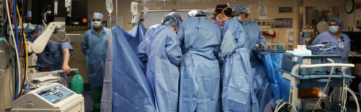 У США хірурги вперше пересадили людині генетично модифіковану свинячу нирку