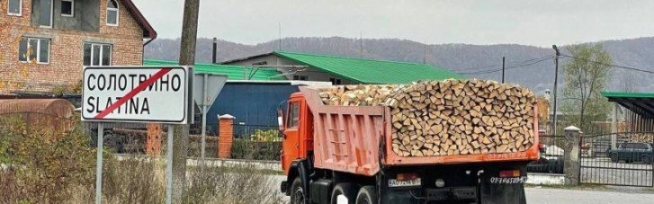 ЗМІ з'ясували, як директор лісгоспу Юрій Сойма побудував схему розкрадання лісу на Закарпатті