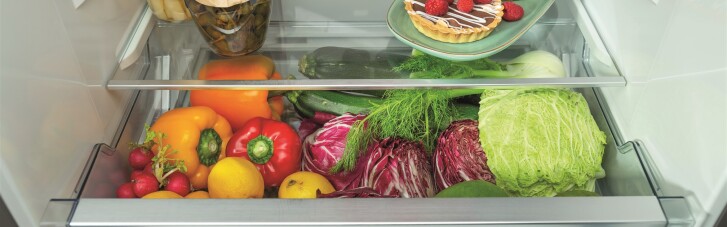 Холодильники Gorenje дозволяють зберігати свіжість продуктів набагато довше завдяки функціям IONізації і AdaptTech
