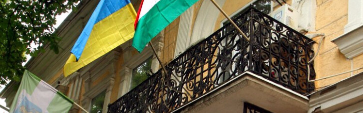 Инцидент в Берегово. Что вообще венгерский флаг делал на здании горсовета?