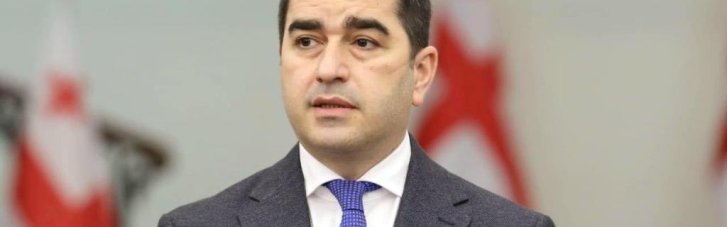 Спикер парламента Грузии —  о шагах навстречу России: объявил страну "стратегическими терпилами"