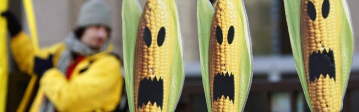 Двоголова кукурудза і пшениця з геном скорпіона: врятують від голоду або вб'ють?