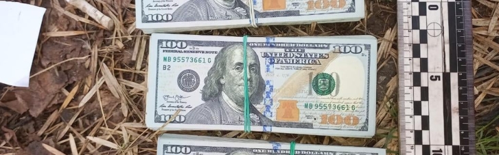 "Як вкрасти мільйон": у Харкові чоловік поцупив сумку з валютою прямо у сховищі (ФОТО)