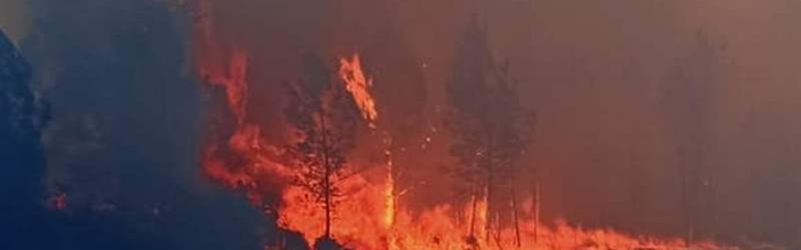Во Франции бушуют лесные пожары, выгорели сотни гектаров (ФОТО)