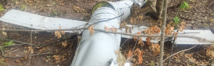 На Вінниччині лісничі знайшли російську ракету "Калібр", збиту ППО (ФОТО)