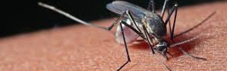 В Киеве зафиксировали несколько случаев редкой болезни, которую разносят комары